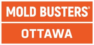 Mold Busters Ottawa