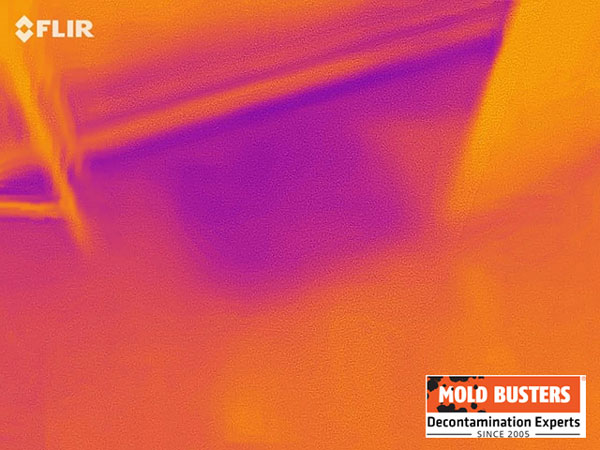 Thermal imaging