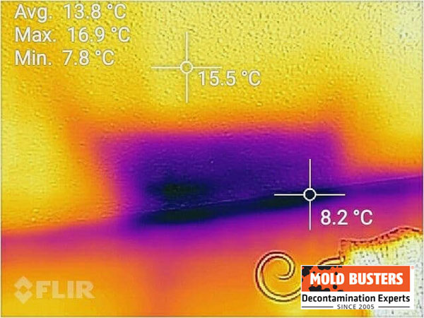 Thermal imaging