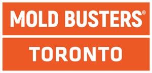 Mold Busters Toronto