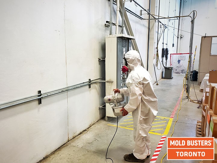 Les experts de la moisissure Toronto