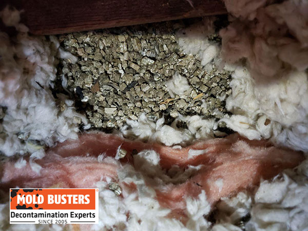 Vermiculite asbestos testing Ottawa