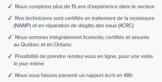 Pourquoi faire appel à Mold Busters 1