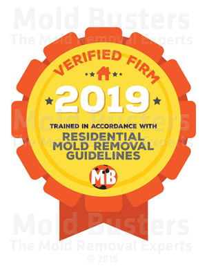 Verified Firm Badge
