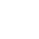 free report check icon