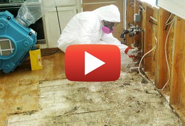 Why Mold Detection During New Home Air Quality Testing Is Crucial