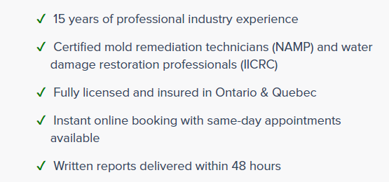 Why Mold Busters 1