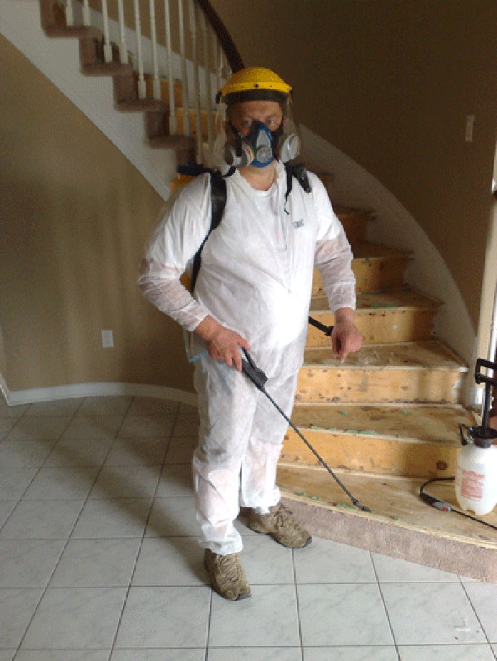 A Guide to DoItYourself Mold Removal Mold Busters Blog