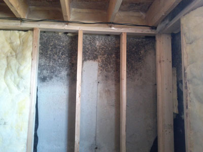 Marijuana Grow Op Inspections Marijuana Grow Op Inspections
