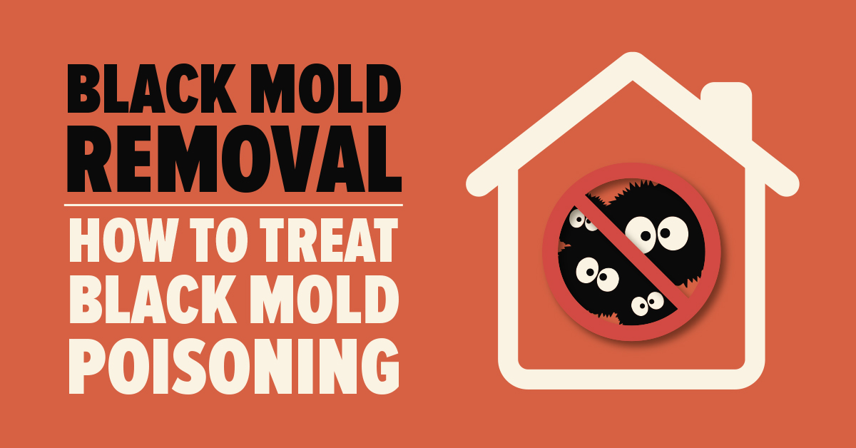 What Is Black Mold Pictures And Symptoms Of Busters Black Mold Poisoning