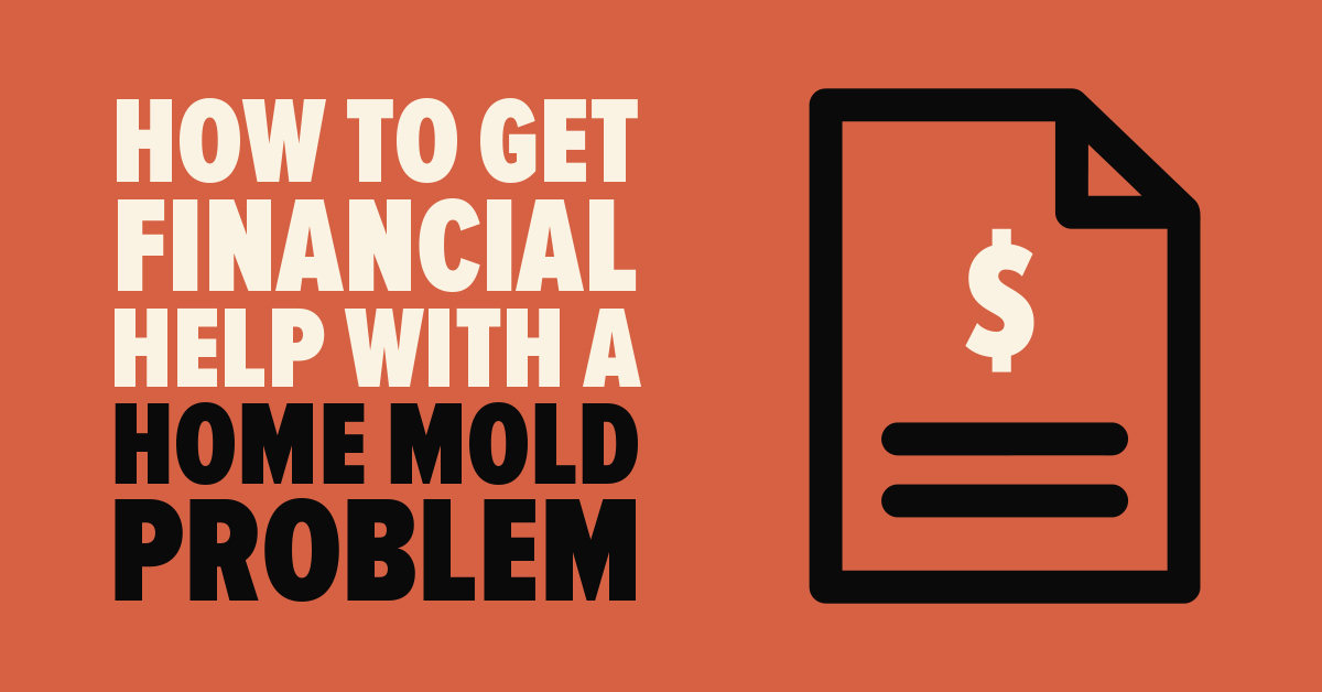 How to Get Financial Help With a Home Mold Problem