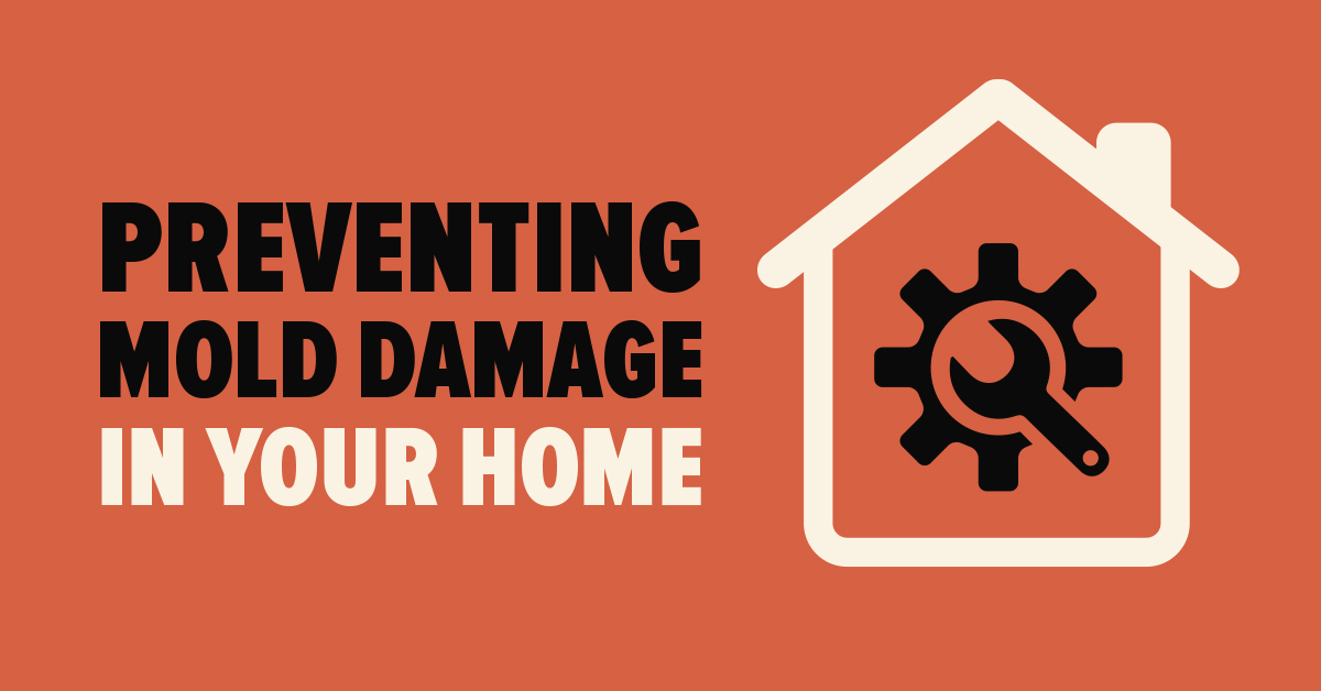 Preventing Mold Damage in Your Home - Mold Busters Blog