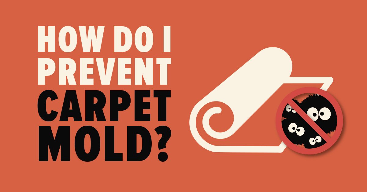 How to Prevent Carpet Mold