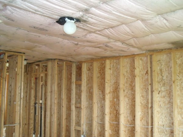 Basements are often full of mold