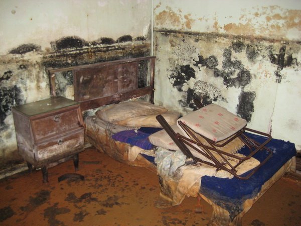 Prevent Carpet Mold in Ottawa Prevent Carpet Mold in Ottawa