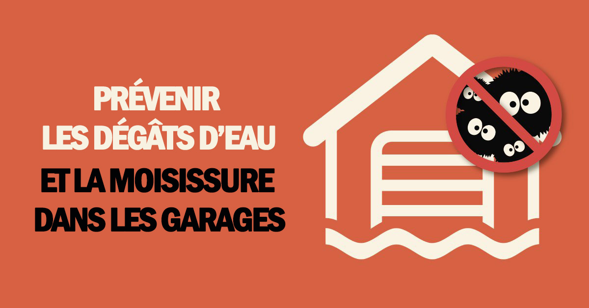 La moisissures eau dans le garage