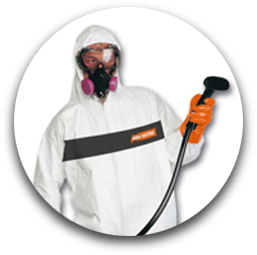 About Us - Mold Removal Service in Ottawa and Montreal