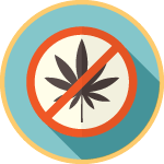 Traitement anti-fongique des cultures de canabis