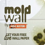 mold-wallpaper