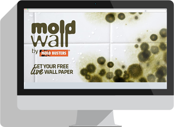 Mold Live Wallpaper by Mold Busters Cool New Features 