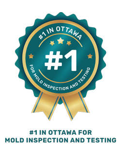 Voted #1 in Ottawa for mold inspection and testing