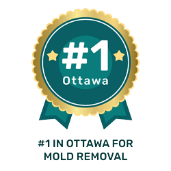 badge best in ottawa mold removal