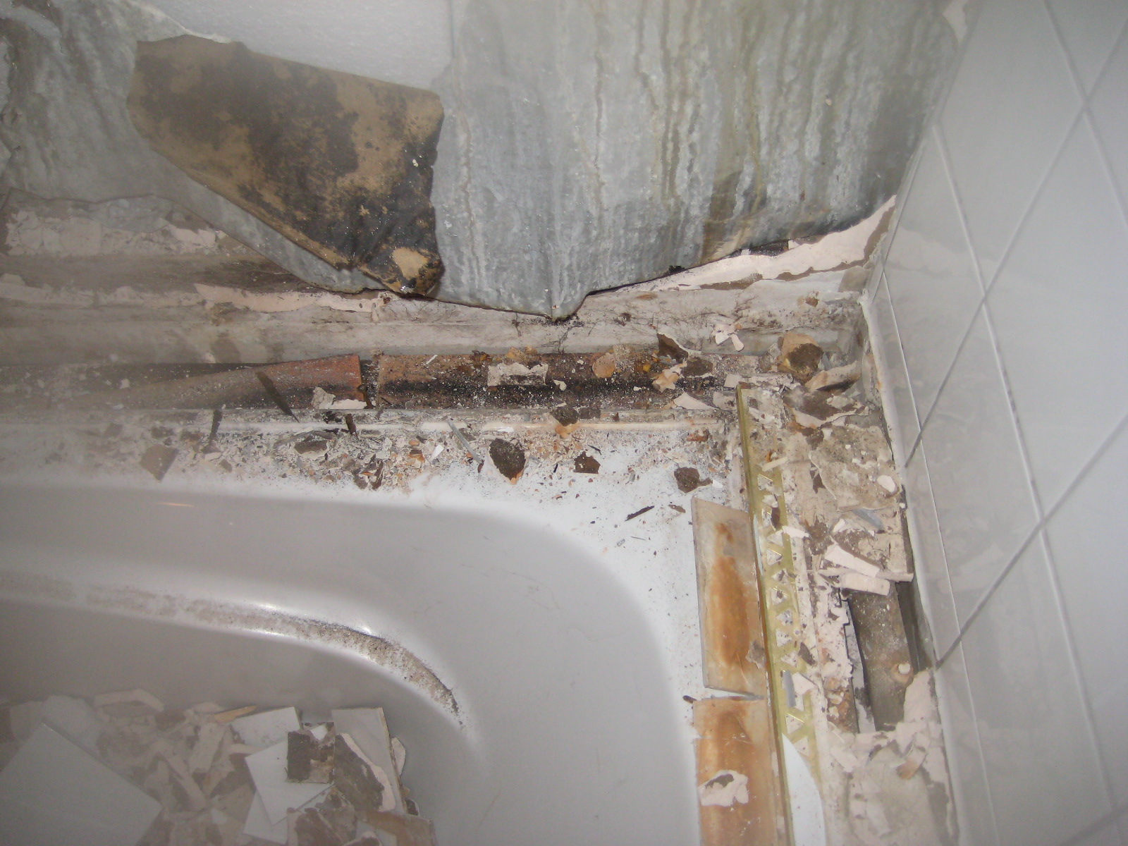 Mold vs Mildew: It’s Not Mold Until It’s Tested