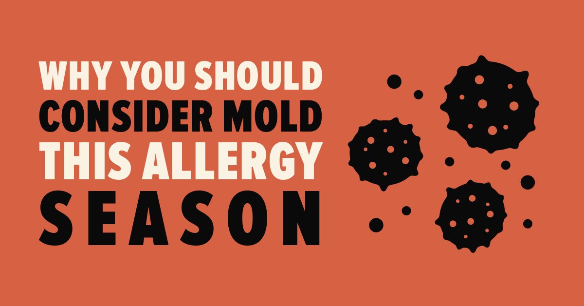 Health Effects Of Mold Risks Symptoms Dangers Busters Mold And Allergy