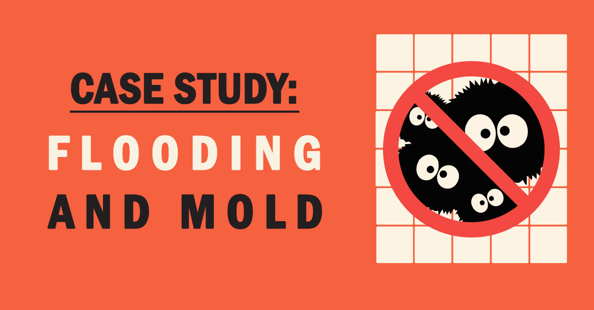 A Tenant’s Tale: Flooding and Mold
