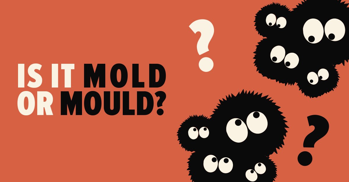 Mold or Mould What's the Correct Spelling? Mold Busters