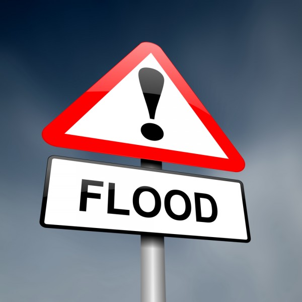 Serbia Floods - Mold Busters