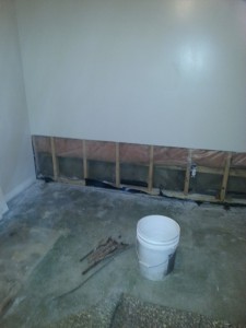 Mold Remediation and Water Damage Restoration