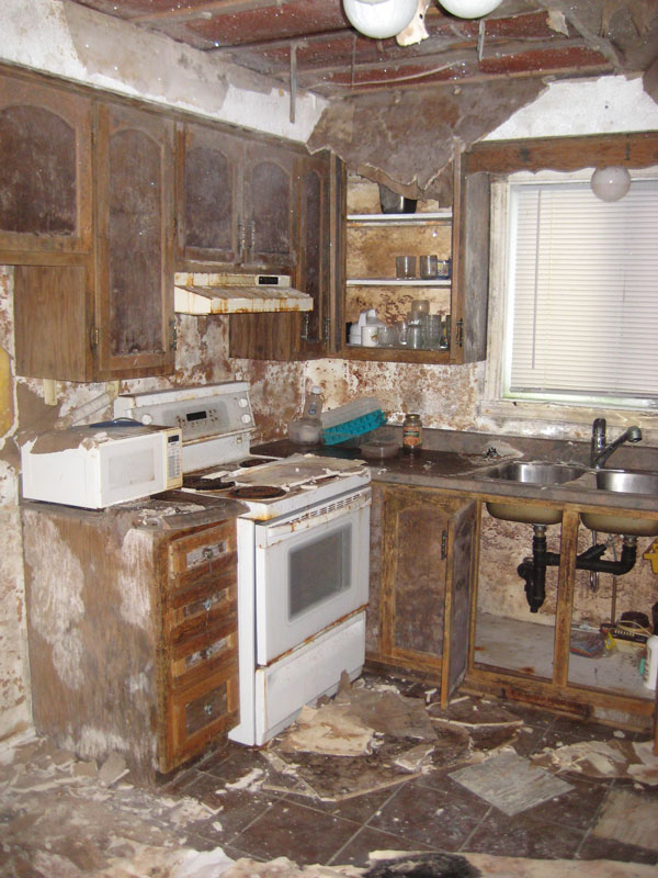 Serbia Floods - Mold Busters
