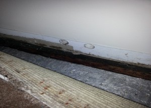 Water-Damaged Baseboard