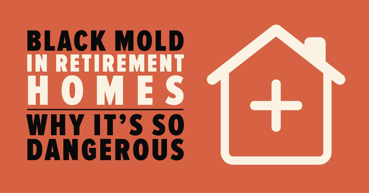 Black Mold in Retirement Homes Why It's so Dangerous Mold Busters