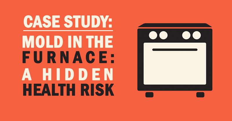 Mold in the Furnace