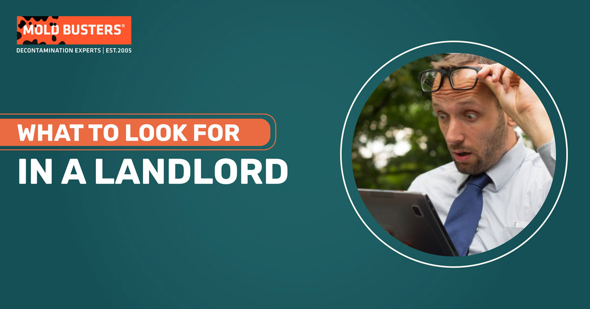 what to look for in a landlord