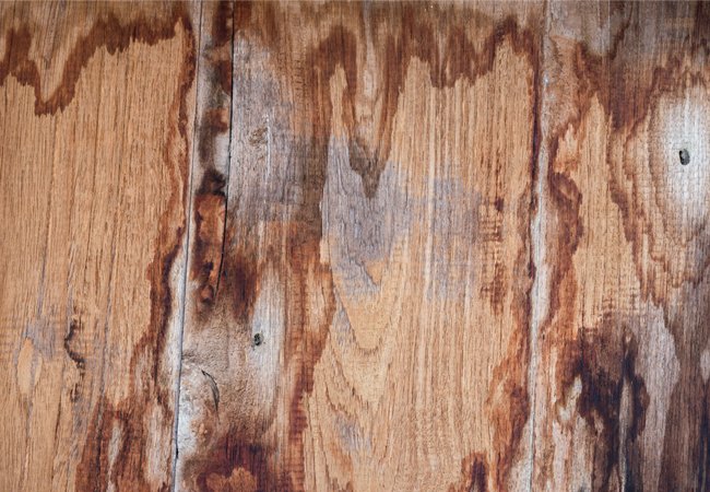 dos-donts-renovating-your-bathroom-mold-busters-7 dos-donts-renovating-your-bathroom-mold-busters-7