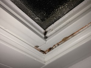 Leaky Windows Cause Moisture Intrusion and Mold