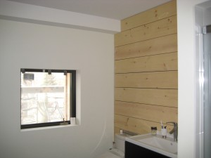 Energy Loss in Bathroom - Missing Insulation