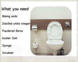 Natural Ways to Clean Your Toilet - Mold Busters