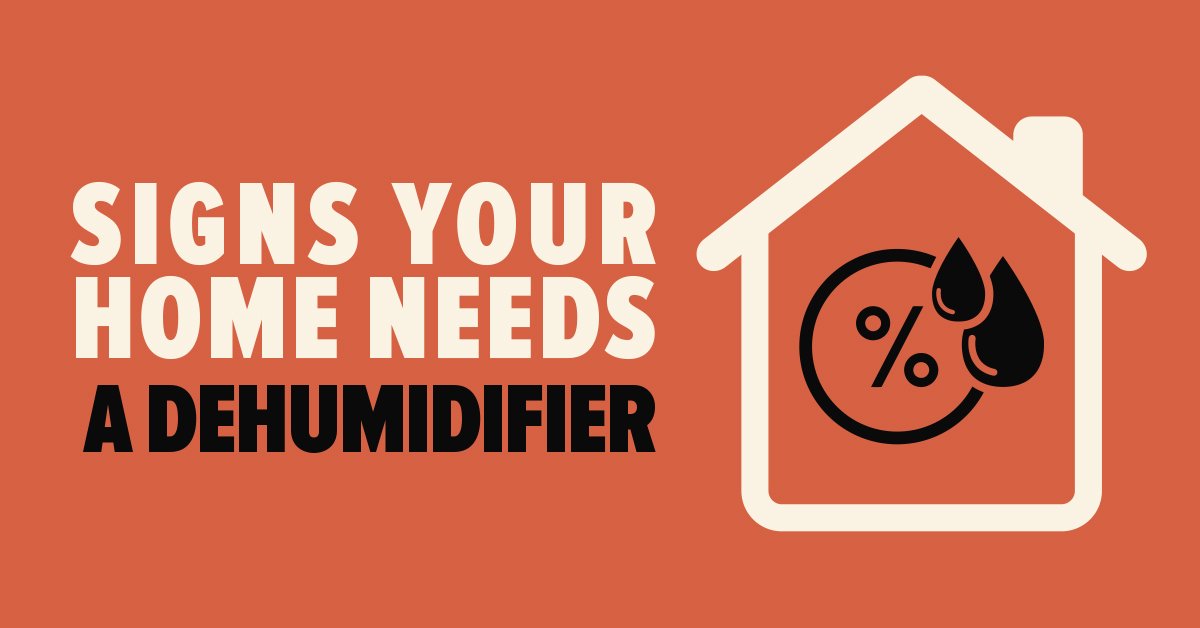 Signs Your Home Needs a Dehumidifier