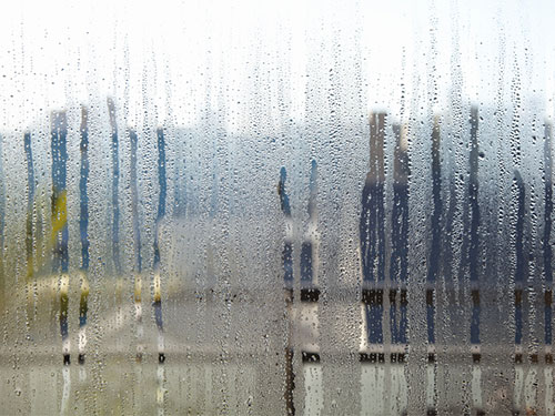Condensation de fenêtre - Signes de moule 