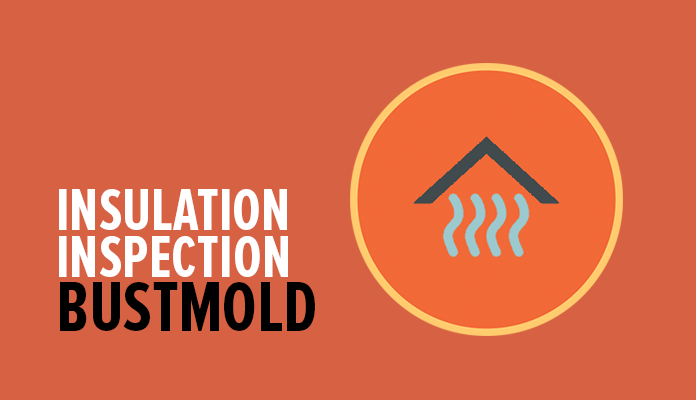 Image showcasing Insulation Inspections Ottawa | Prevent Heat Loss, Mold...