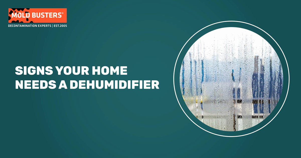 Signs Your Home Needs a Dehumidifier