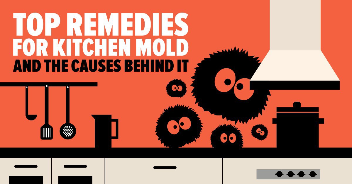 top remedies for kitchen mold