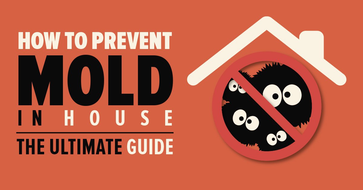 How to Prevent Mold in House