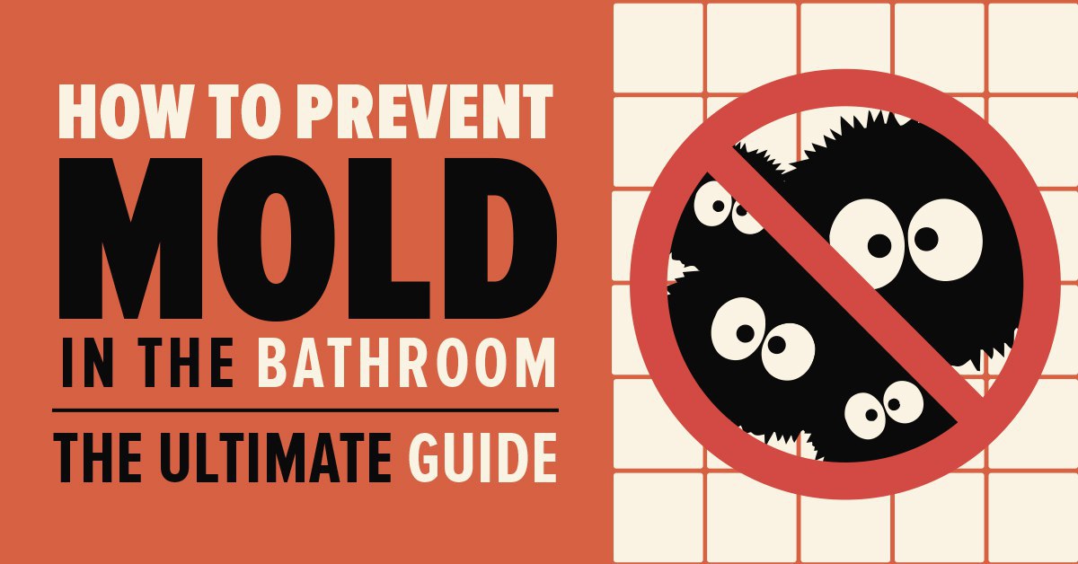 How to Prevent Mold The Ultimate Prevention Tips Guide Mold Busters