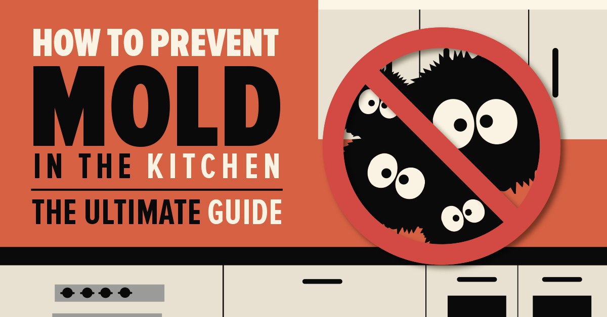 How to Prevent Mold The Ultimate Prevention Tips Guide Mold Busters