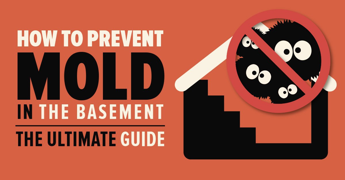 How To Prevent Mold In Basement The Ultimate Guide Busters